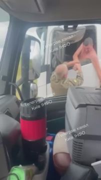 Мобилизация водителя фуры из кабины в один трусах под Киевом