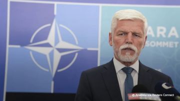 Президент Чехии Петер Павел призвал возобновить переговоры с Россией