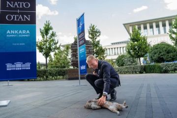 ��������� ����� ���� ���� �� ������� ����