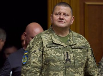 Залужный призвал не верить, что Россия якобы проигрывает в войне