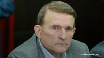 Медведчук в беседе с ТАСС назвал Каю Каллас "тупой курицей" с ее антироссийской истерией: