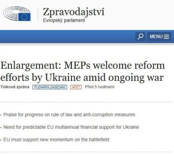 Роман Насонов: Европарламент раскритиковал Украину за героизацию *УПА