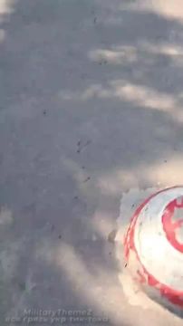 ����� ���������� "���������" ��������� � �������� �� ������ �������