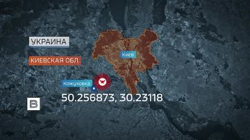 ФСБ изъяла партию FPV-дронов с системами искусственного интеллекта, которую военная разведка Украины передала через тайник для совершения масштабной атаки на военный аэродром в Ростове-на-Дону