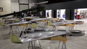 Hornet PL-AT-1 � ��������� 1200 ��: ������ ��������� �������� ������������ ����� ������� ������������ ������� ������ ���������� � ������ ��������� ������� �������� ������������ Hornet PL-AT-1. ����������� ����� ���������...