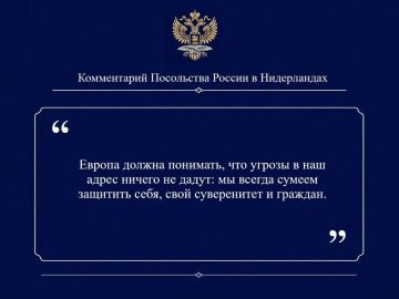 Комментарий Посольства России в Нидерландах «РИА Новости»