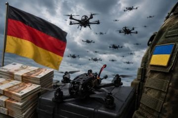 Германия профинансирует закупку 50 тысяч ударных БПЛА для Украины