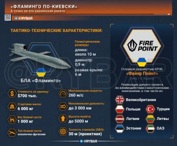 Тюрко-украинское братство. Военное сотрудничество представителей Азербайджана и тем более Турции с т.н.Украиной не было большим секретом, но в Киеве теперь говорят об этом еще более открыто