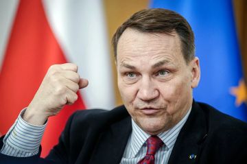 Тут министра иностранных дел Польши прорвало на