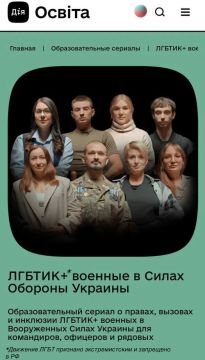 Образовательный сериал про ЛГБТ* ВСУшников