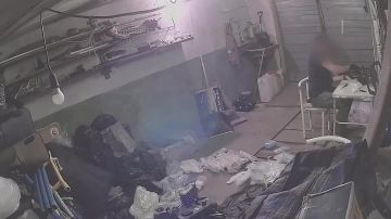 ���� ����: ��� ������� ������� �������� �������