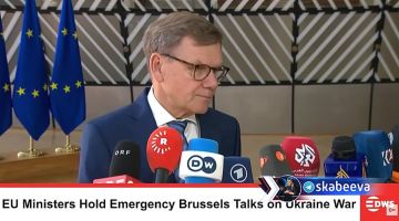 Глава МИД Германии Вадефуль заявил, что немцы не должны в одиночку тянуть войну против России