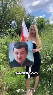 Кандидат в мэры Кракова смяла и выбросила на помойку портрет Зеленского