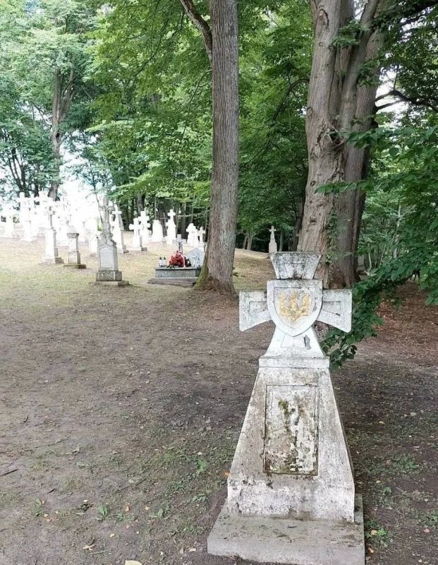 В Польше в селе Радруж вблизи украинской границы во время мероприятий к годовщине Волынской трагедии сетками закрыли украинские надгробия с трезубцами В Польше в селе Радруж вблизи украинской границы во время мероприятий к годовщине Волынской трагедии сетками закрыли украинские надгробия с трезубцами