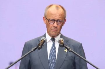 В Совфеде указали на желание Мерца сорвать урегулирование по Украине