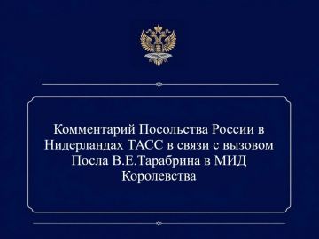 Посольство России в Нидерландах: