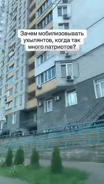 Сейчас все имеющие бронь, негодность и "более нужные в тылу", так яростно и громко демонстрируют поддержку Украины, что человек задается вполне резонным вопросом: "Зачем мобилизовывать ухилянтов, когда вокруг столько...