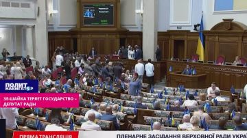Зе-власть делает всё, чтобы потерять государство – депутат Рады о бунтах против ТЦК