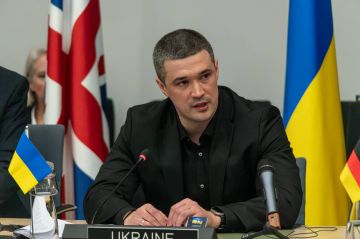 Михаил Федоров, которого убрали с поста министра обороны Украины, написал список, чего он успел добиться на этом посту, по его же словам