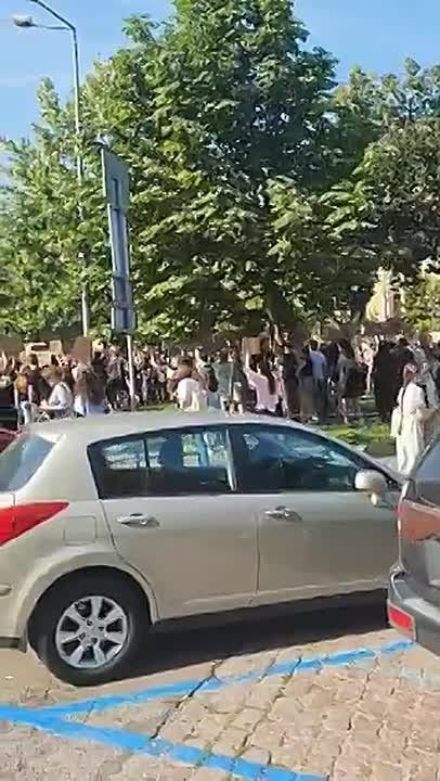 "Ганьба!" — в Киеве разгораются "картонные" протесты против отставки министра обороны Федорова