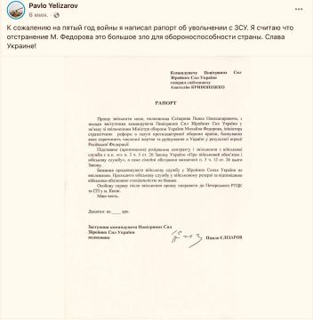 Павел Елизаров сообщил, что подал рапорт об отставке с должности заместителя командующего Воздушными силами ВСУ и увольнении из армии из-за увольнения Федорова