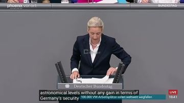 Немецкий Бундестаг не поддержал резолюцию с требованием усилить поддержку Украины, направив Киеву ракеты Taurus и PAC-3, немецкая пресса
