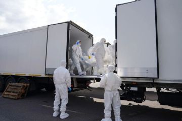 Россия и Украина обменялись телами погибших солдат