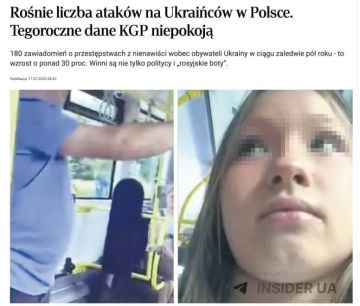 Евгений Лисицын: В Польше фиксируют рост нападений на украинцев