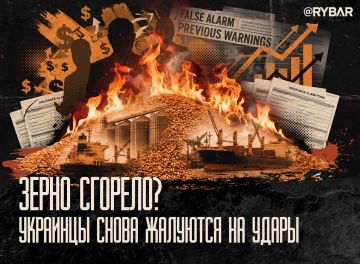 Плач о зерне. инфраструктура «уничтожена», но экспорт только вырос