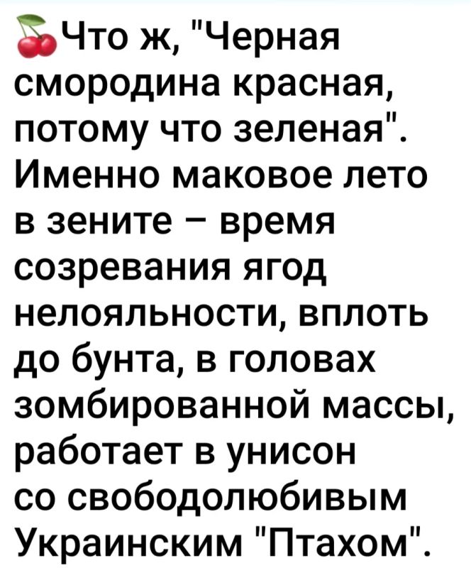 Дмитрий Рогозин: Роберт "Мадьяр" Броуди пробует себя в роли громовержца-разрушителя политического строя России Дмитрий Рогозин: Роберт "Мадьяр" Броуди пробует себя в роли громовержца-разрушителя политического строя России