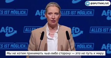 "Мы прекратим всю помощь Украине — больше никаких денег, оружия и солдат", — лидер немецкой партии "Альтернатива для Германии"