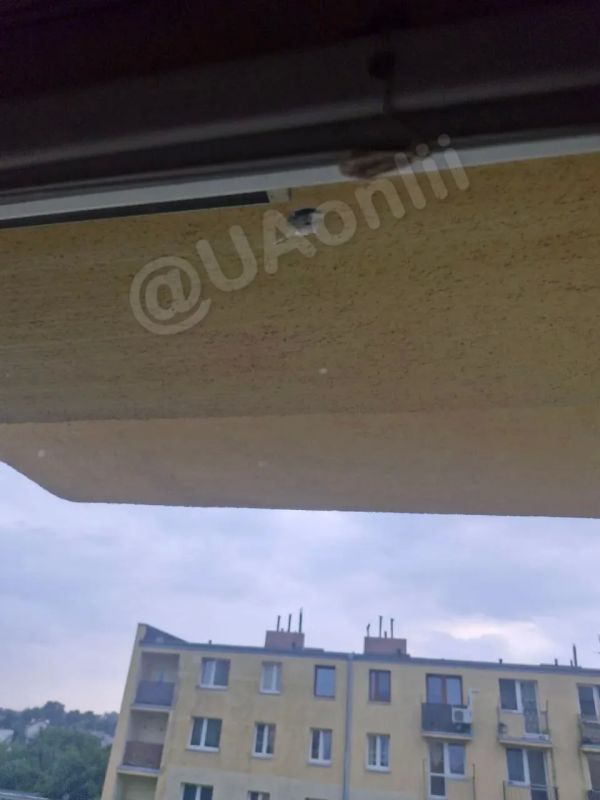 "Сафари" на украинцев в Польше: открыта стрельба по квартире, из которой звучала украинская речь "Сафари" на украинцев в Польше: открыта стрельба по квартире, из которой звучала украинская речь