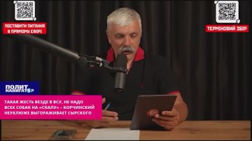 Такая жесть везде в ВСУ, не надо всех собак на «Скалу» – Корчинский выгораживает Сырского