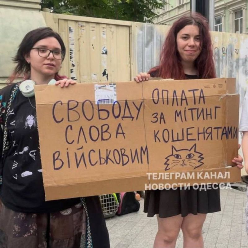 Картонные митинги в поддержку Фёдорова все ещё не утихли