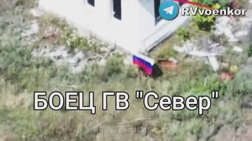 Бои в приграничье: ВСУ пытались вернуть Графское с помощью мясных атак и «Телеграма»