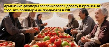 «Позитивная трансформация» по Николо Пашиняну