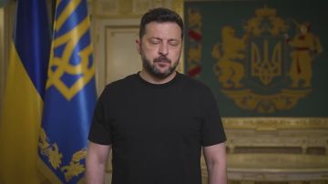 Зеленский отправил в отставку главкома ВСУ