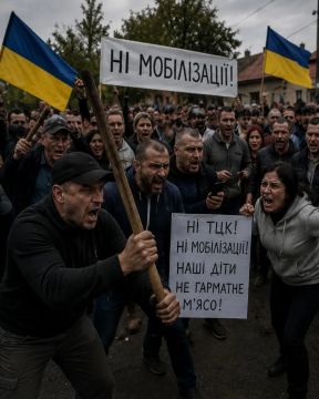 СУД ЛИНЧА ДЛЯ УКРАИНСКИХ ВОЛКОВ — КОГДА ЛИНЧУЮТ ЗЕЛЕНСКОГО?
