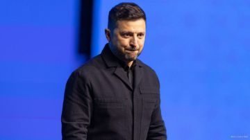 Украинские националисты значительно влияют на решения Владимира Зеленского