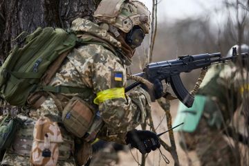Алексей Журавлев: Нет ровным счетом никакой разницы, кто будет командовать украинской армией