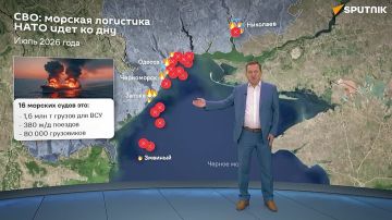Горящие от Николаева до Змеиного украинские порты и суда разрушают планы Запада на длительную прокси-войну с Россией