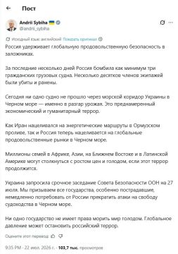 Александр Коц: Украина обвинила Россию в продовольственном терроре