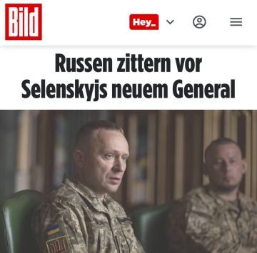 «Русские дрожат от нового генерала Зеленского» — Bild