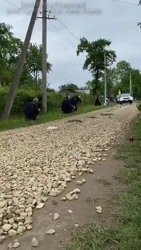 Дрессировка населения Украины проходит в штатном режиме