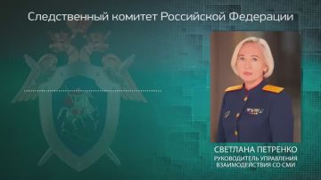 Официальный представитель СК России Светлана Петренко: