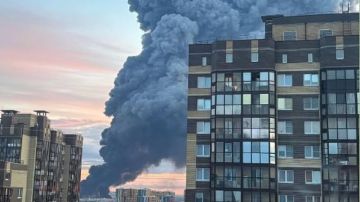Бандеровцы жгут экономику России