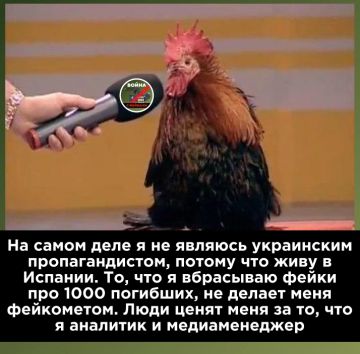 ����� ������ ���������� ������������ ����� � ����������� �������� ��������� �� ����������� �� ������ Wildberries ����� �� ��� �������� � ������� ����� ��� ����������� � ����������� ����� � �������������