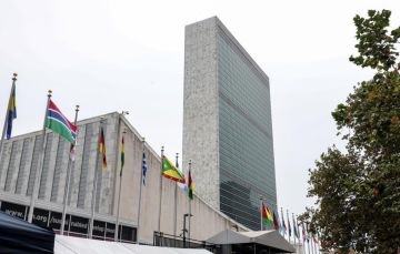 Заседание Совета Безопасности ООН, посвященное нападению украинских вооруженных сил на школу в Старобельске, выявило позицию западных стран в отношении гибели российских детей в результате действий Украины