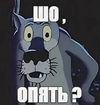 Масляная блокада: Крупнейший завод Украины в порту Южный встал на неопределённое время
