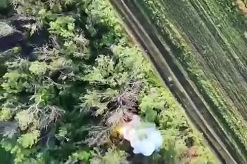 ����� ������������ ����������� ������ �������� � ��� ��������� ������������ ������� ������